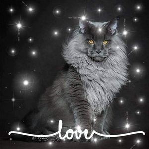 Meet your Posher, Lana